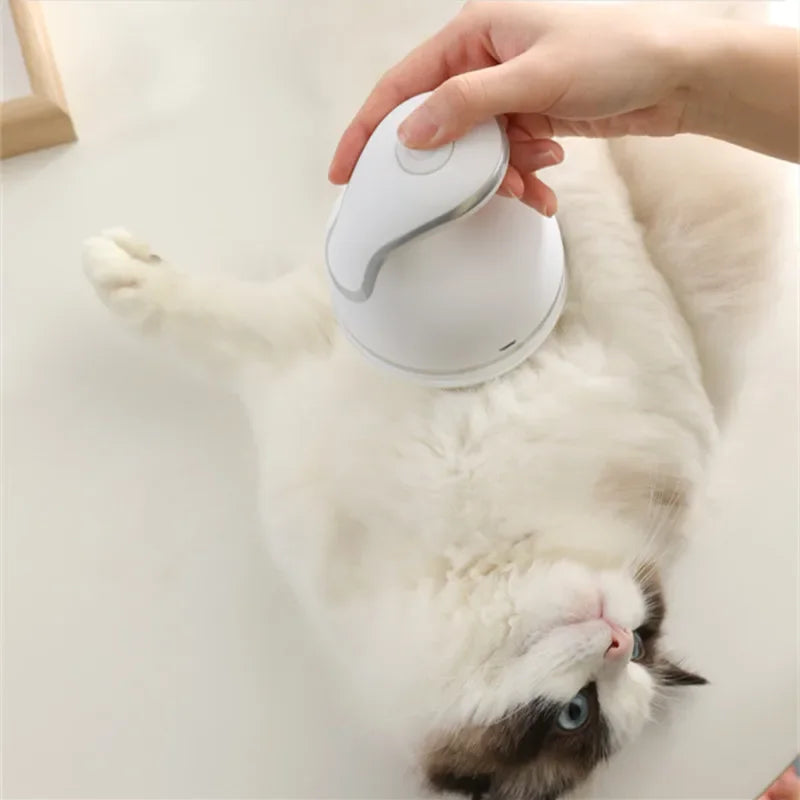 Una mano usa un masajeador eléctrico blanco en un gato blanco y esponjoso.