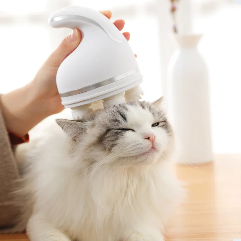 Un gato blanco y esponjoso recibe un masaje en la cabeza con un dispositivo eléctrico blanco.