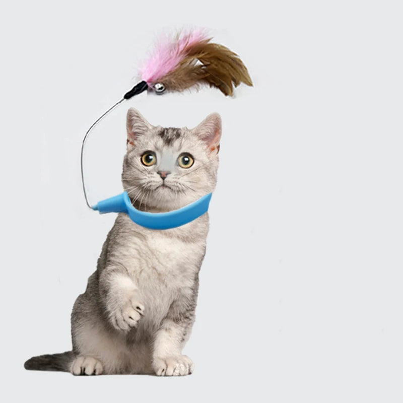 Un chat gris avec un collier bleu et un jouet à plume au bout.
