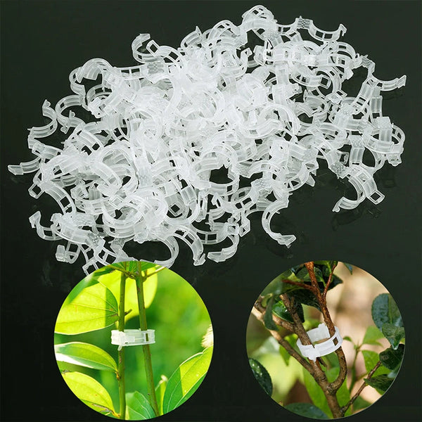 A pile of clear reusable plant clips used for supporting tomato vines and vegetables, shown alongside close-ups on plants.