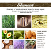 A visual guide showing the layer-by-layer repair process of plant extracts for hair strengthening, featuring various essentia