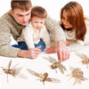 Familia interactuando con un kit de rompecabezas 3D de madera de perro salchicha y modelos de insectos.