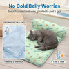 A gray cat is lying on a light green cooling mat designed to prevent cold belly worries.