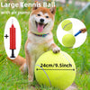A fluffy Shiba Inu dog is posing with a large yellow tennis ball and an air pump.