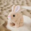 A light brown plush rabbit toy with long ears sitting on sand.