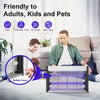 An electric mosquito killer lamp with a UV light trap is shown next to a man and a dog on a couch.