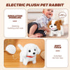 An electric plush pet rabbit toy demonstrating walking simulation modeling and soft thick material.