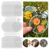 A set of thirty transparent glass jars filled with dried flowers used as DIY bookmarks.