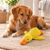 Gelbes Plüsch-Enten-Hundespielzeug mit einem Hund in der Nähe